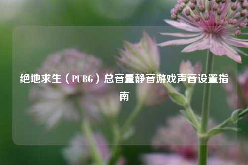 绝地求生(PUBG)总音量静音游戏声音设置指南