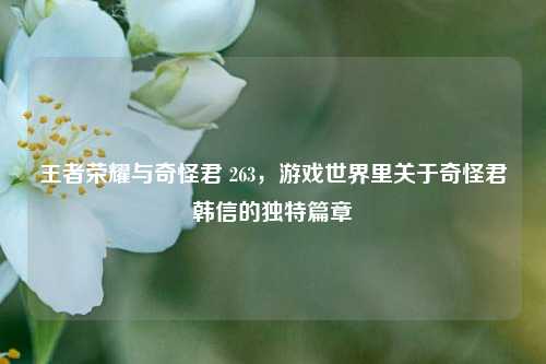 王者荣耀与奇怪君 263，游戏世界里关于奇怪君韩信的独特篇章