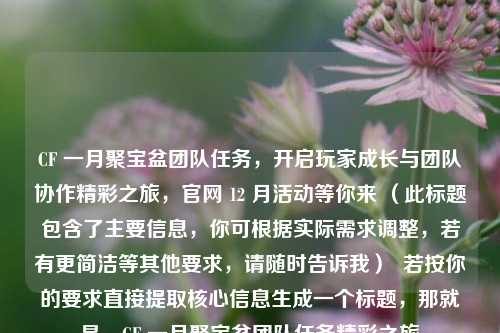CF 一月聚宝盆团队任务，开启玩家成长与团队协作精彩之旅，官网 12 月活动等你来 （此标题包含了主要信息，你可根据实际需求调整，若有更简洁等其他要求，请随时告诉我）  若按你的要求直接提取核心信息生成一个标题，那就是，CF 一月聚宝盆团队任务精彩之旅