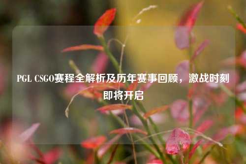 PGL CSGO赛程全解析及历年赛事回顾，激战时刻即将开启