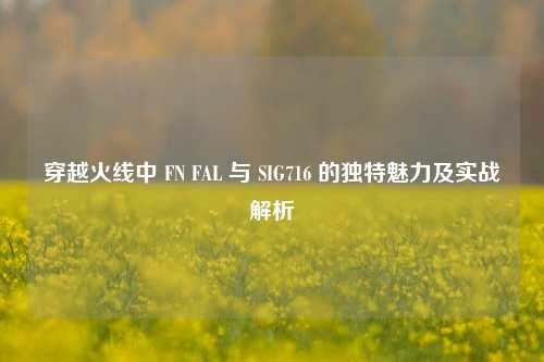 穿越火线中 FN FAL 与 SIG716 的独特魅力及实战解析
