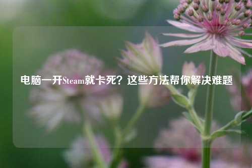 电脑一开Steam就卡死？这些方法帮你解决难题