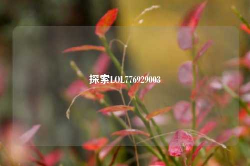 探索LOL776929003