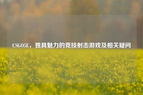 CSGO5E,独具魅力的竞技射击游戏及相关疑问