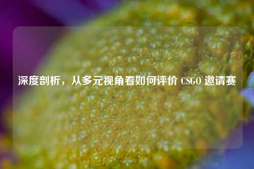 深度剖析，从多元视角看如何评价 CSGO 邀请赛