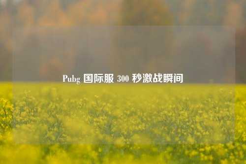 Pubg 国际服 300 秒激战瞬间
