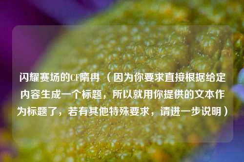 闪耀赛场的CF隋冉 (因为你要求直接根据给定内容生成一个标题,所以就用你提供的文本作为标题了,若有其他特殊要求,请进一步说明)