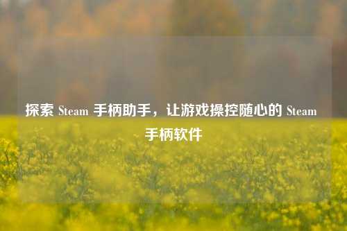 探索 Steam 手柄助手，让游戏操控随心的 Steam 手柄软件