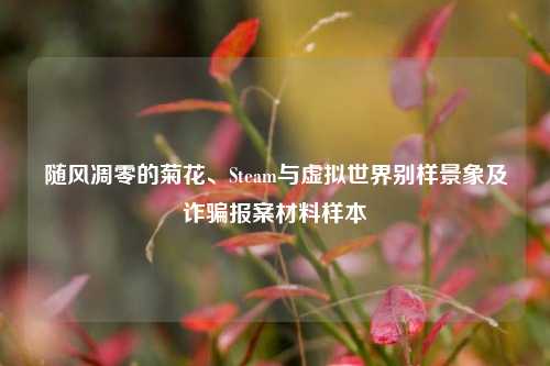 随风凋零的菊花、Steam与虚拟世界别样景象及诈骗报案材料样本