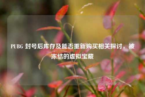 PUBG 封号后库存及能否重新购买相关探讨,被冻结的虚拟宝藏