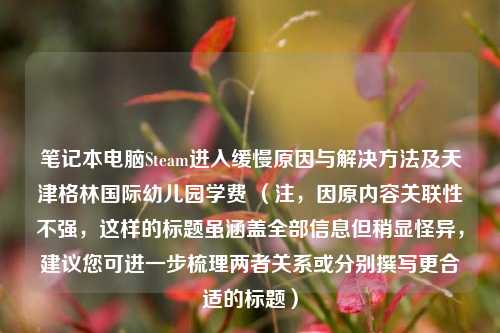 笔记本电脑Steam进入缓慢原因与解决方法及天津格林国际幼儿园学费 (注,因原内容关联性不强,这样的标题虽涵盖全部信息但稍显怪异,建议您可进一步梳理两者关系或分别撰写更合适的标题)