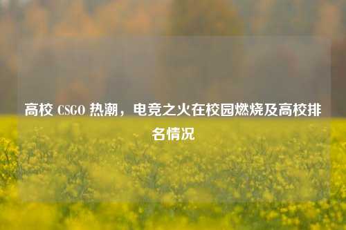 高校 CSGO 热潮，电竞之火在校园燃烧及高校排名情况