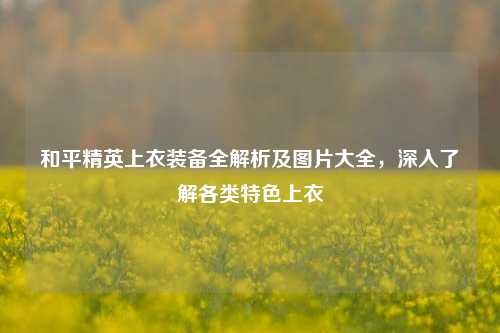 和平精英上衣装备全解析及图片大全，深入了解各类特色上衣