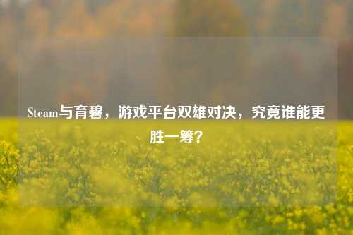 Steam与育碧，游戏平台双雄对决，究竟谁能更胜一筹？