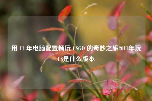 用 11 年电脑配置畅玩 CSGO 的奇妙之旅2011年玩CS是什么版本