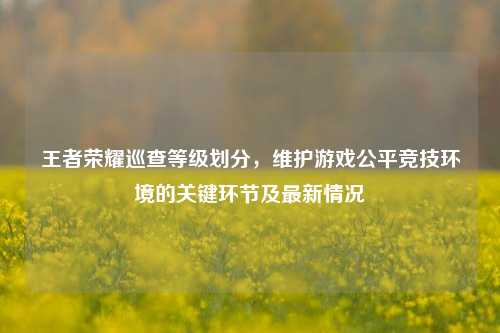 王者荣耀巡查等级划分，维护游戏公平竞技环境的关键环节及最新情况