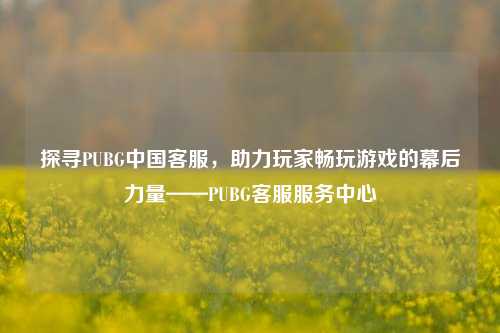 探寻PUBG中国客服，助力玩家畅玩游戏的幕后力量——PUBG客服服务中心