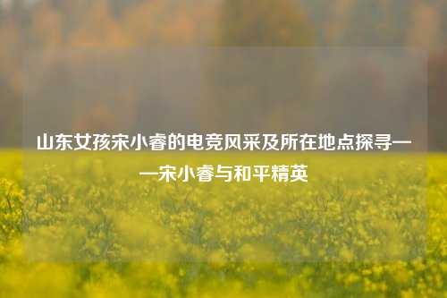 山东女孩宋小睿的电竞风采及所在地点探寻——宋小睿与和平精英
