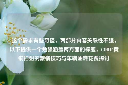 这个需求有些奇怪,两部分内容关联性不强,以下提供一个勉强涵盖两方面的标题,COD16黄铜扫射的激情技巧与车辆油耗花费探讨