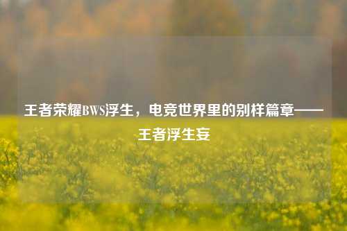 王者荣耀BWS浮生，电竞世界里的别样篇章——王者浮生妄