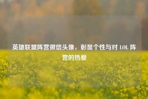 英雄联盟阵营微信头像,彰显个性与对 LOL 阵营的热爱