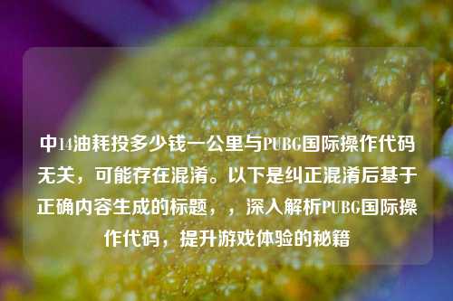 中14油耗投多少钱一公里与PUBG国际操作代码无关,可能存在混淆。以下是纠正混淆后基于正确内容生成的标题,,深入解析PUBG国际操作代码,提升游戏体验的秘籍