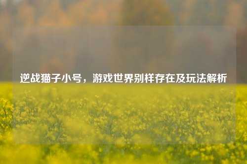 逆战猫子小号,游戏世界别样存在及玩法解析