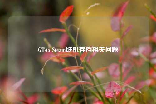 GTA5 Steam联机存档相关问题