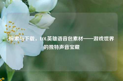 探索与下载,LOL英雄语音包素材——游戏世界的独特声音宝藏