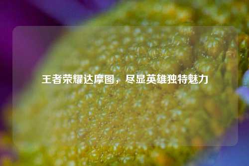 王者荣耀达摩图，尽显英雄独特魅力