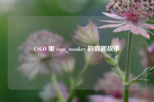 CSGO 里 csgo_monkey 的猴趣故事