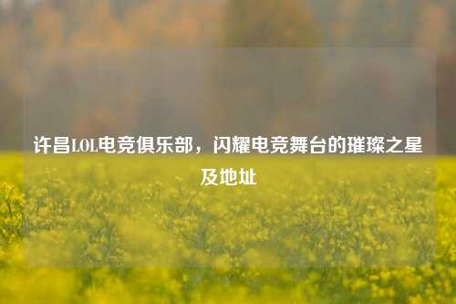 许昌LOL电竞俱乐部，闪耀电竞舞台的璀璨之星及地址