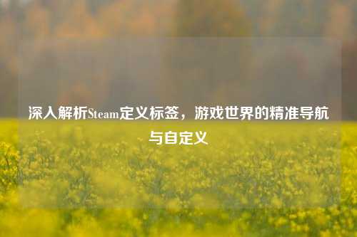 深入解析Steam定义标签，游戏世界的精准导航与自定义