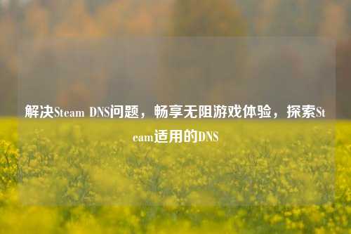 解决Steam DNS问题，畅享无阻游戏体验，探索Steam适用的DNS