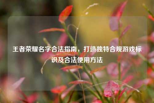王者荣耀名字合法指南，打造独特合规游戏标识及合法使用方法