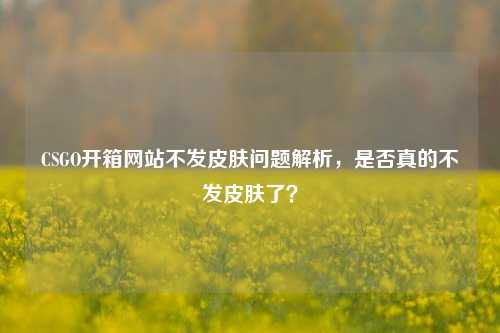 CSGO开箱网站不发皮肤问题解析，是否真的不发皮肤了？