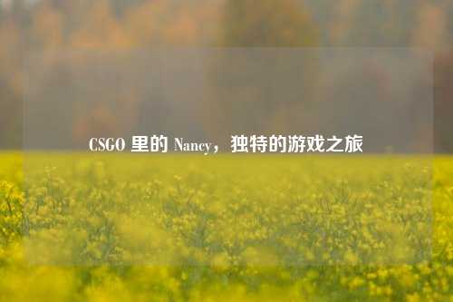 CSGO 里的 Nancy，独特的游戏之旅
