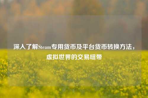 深入了解Steam专用货币及平台货币转换方法，虚拟世界的交易纽带