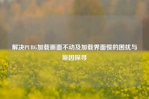 解决PUBG加载画面不动及加载界面慢的困扰与原因探寻