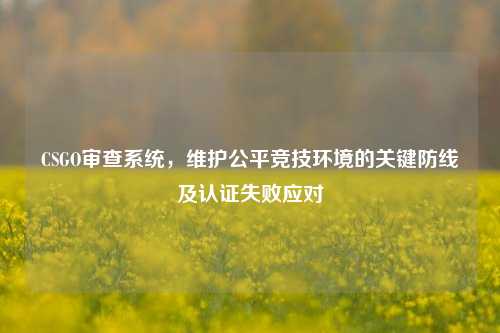 CSGO审查系统，维护公平竞技环境的关键防线及认证失败应对