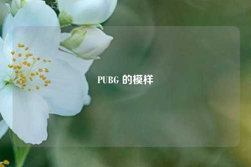 PUBG 的模样