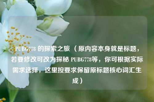 PUBG778 的探索之旅 （原内容本身就是标题，若要修改可改为探秘 PUBG778等，你可根据实际需求选择，这里按要求保留原标题核心词汇生成）