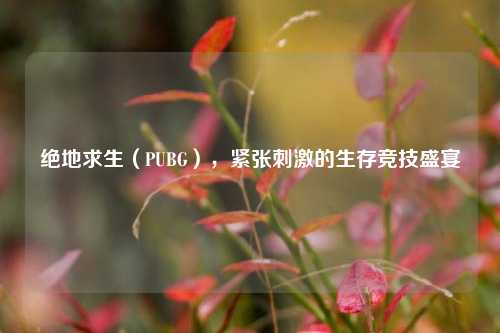 绝地求生（PUBG），紧张刺激的生存竞技盛宴