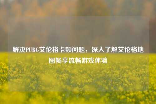 解决PUBG艾伦格卡顿问题，深入了解艾伦格地图畅享流畅游戏体验