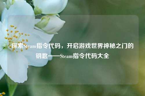 探索Steam指令代码，开启游戏世界神秘之门的钥匙——Steam指令代码大全