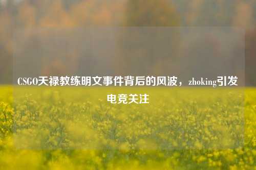 CSGO天禄教练明文事件背后的风波，zhoking引发电竞关注