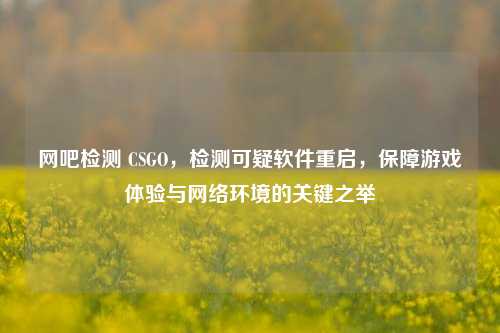 网吧检测 CSGO，检测可疑软件重启，保障游戏体验与网络环境的关键之举