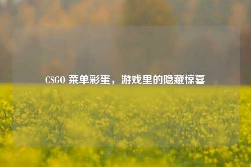 CSGO 菜单彩蛋,游戏里的隐藏惊喜