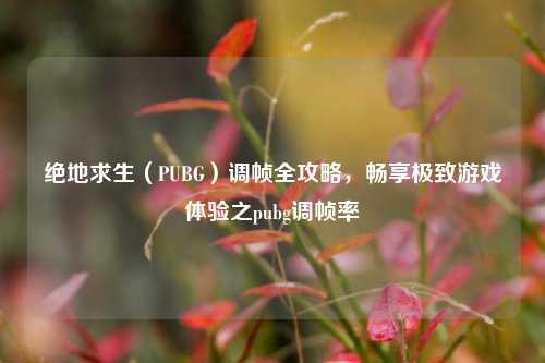 绝地求生（PUBG）调帧全攻略，畅享极致游戏体验之pubg调帧率