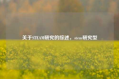 关于STEAM研究的综述，stem研究型